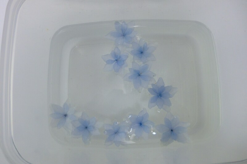 手作りプリザーブドフラワー