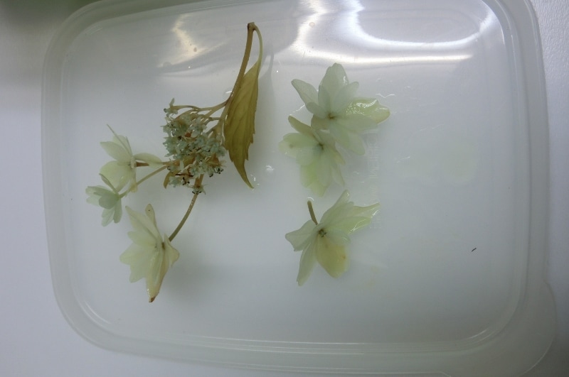 手作りプリザーブドフラワー