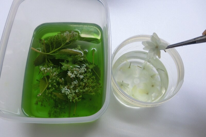 手作りプリザーブドフラワー