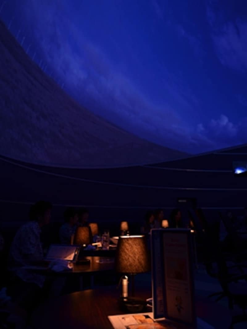 Starry Cafe