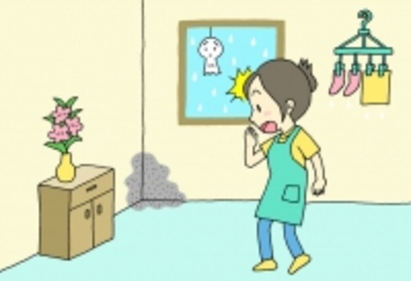 じめじめした梅雨の季節は油断するとすぐにカビが繁殖します