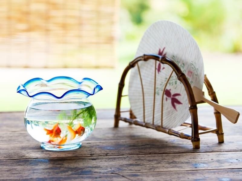 暑気払いの時期はいつ？ 夏の暑い時期ならいつでも構いません