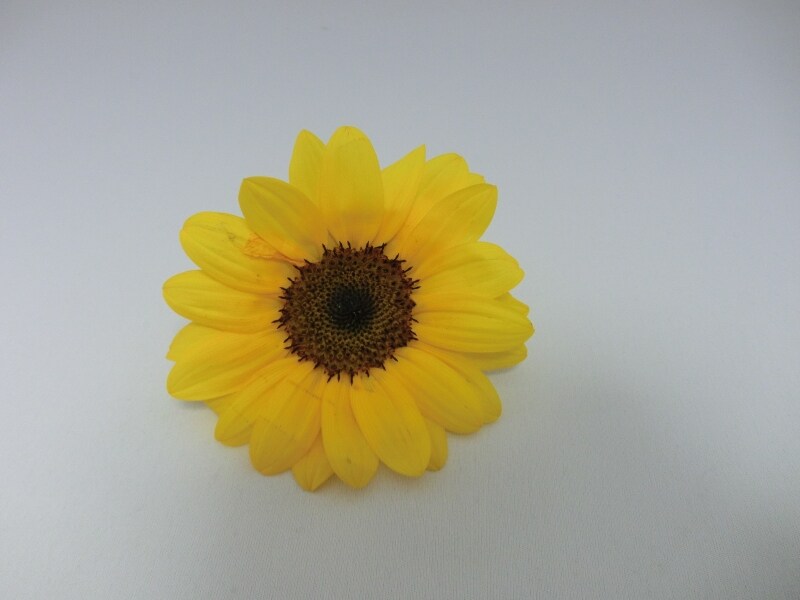 生花
