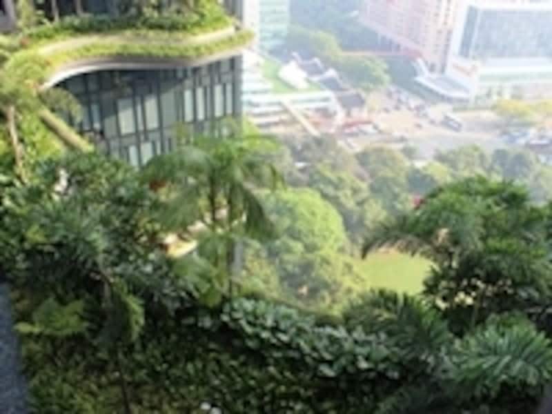 ガーデントレイル