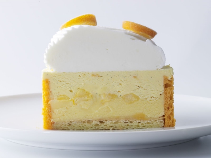 「グラッシェル」の「オランジュリー」断面