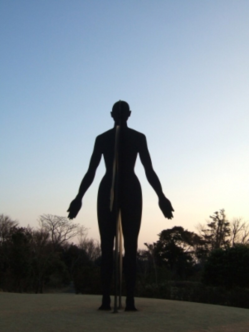 霧島アートの森undefined