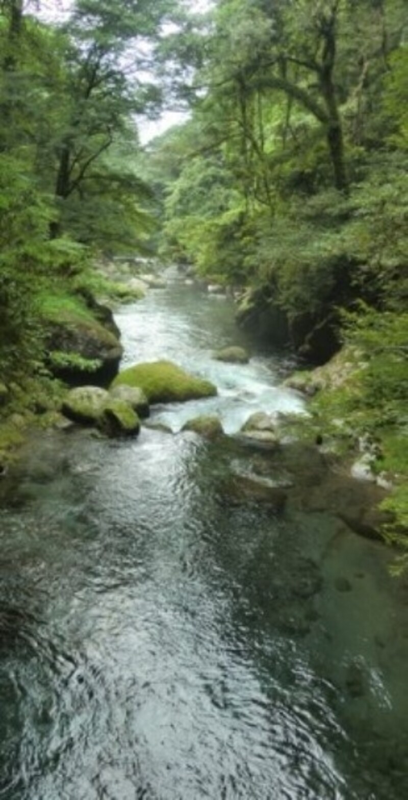お中元 お歳暮 お年賀 夏 冬 年末年始のご挨拶 ギフト 通販な 初夏の菊池渓谷 たかく No.192 原画F4 絵画