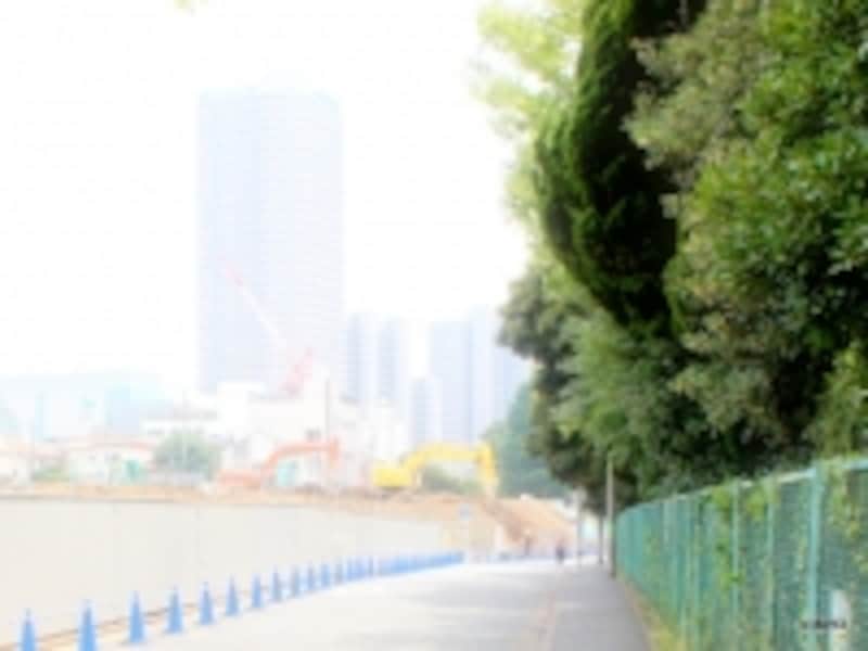 現地（左）＜2013.7.12撮影＞