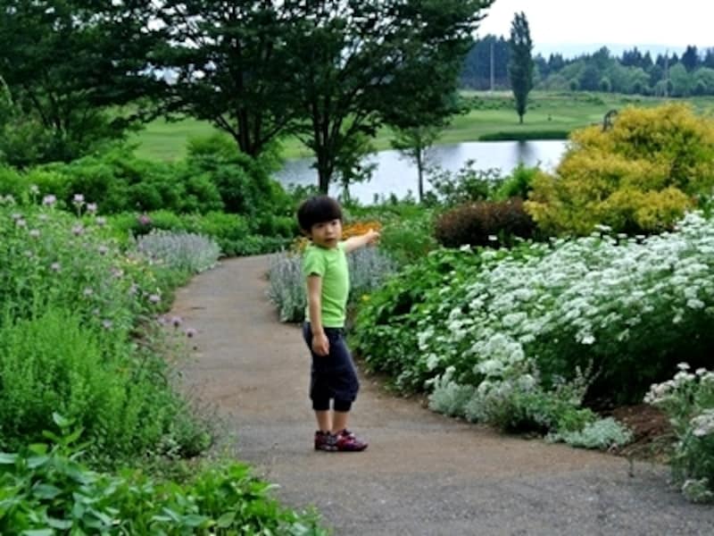 湖へ続く道は草花に彩られていて、朝のお散歩にぴったり