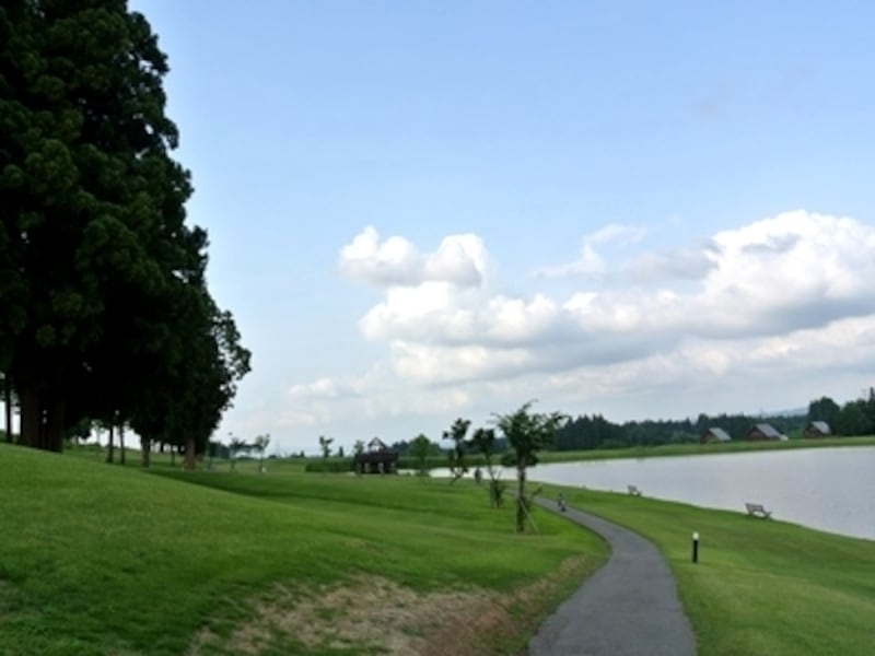 こんな景色の中をサイクリング！車が通らないので、まだ自転車が上手ではない子どもでも安心
