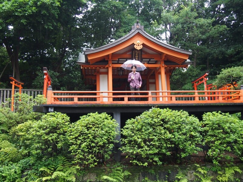 手前には池があり、鯉が泳いでいる。