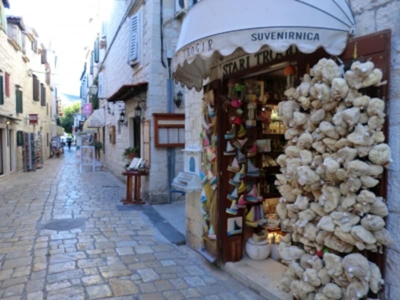 天然のスポンジ