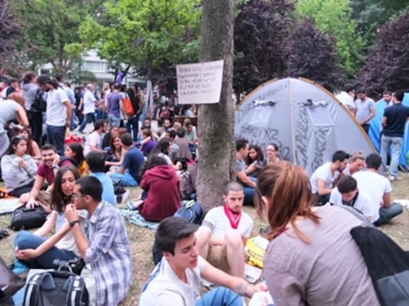 ゲジ公園座り込み