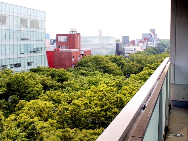 「表参道ヒルズ ゼルコバテラス」上階から