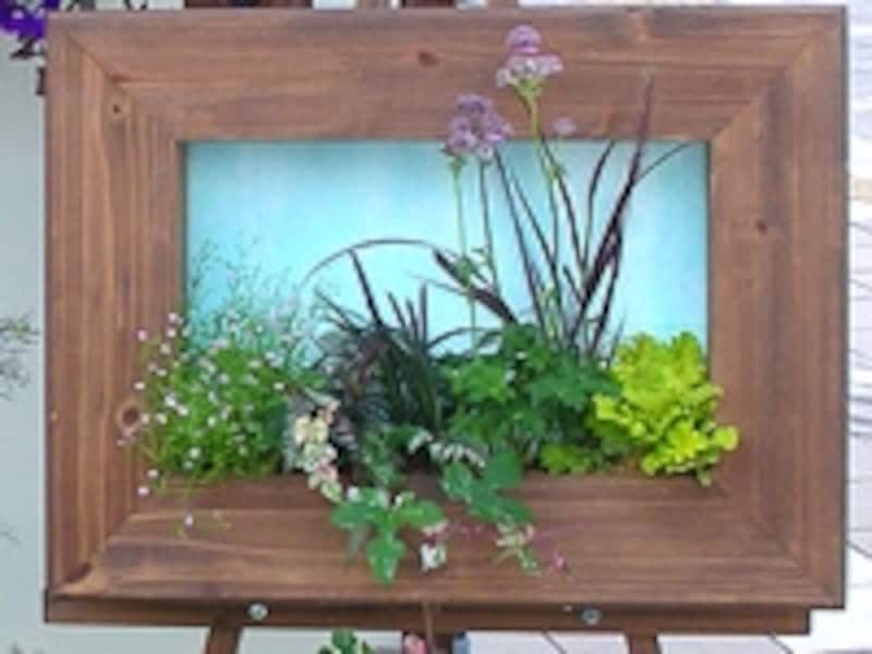 植物をアートに！額縁コンテナの使用例