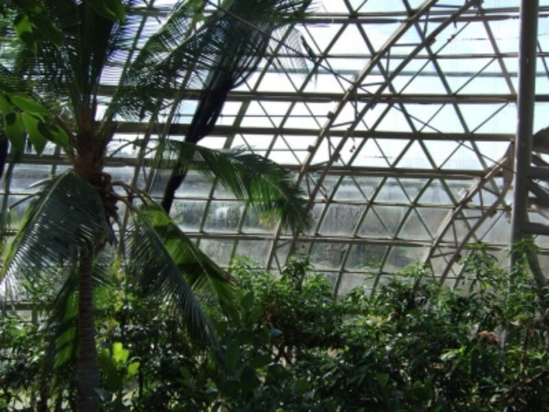 東谷山フルーツパーク で子供と一緒に果物を学ぶ 名古屋の観光 旅行 All About 東谷山フルーツパーク で子供と一緒に果物を学ぶ 名古屋の観光 旅行 All About