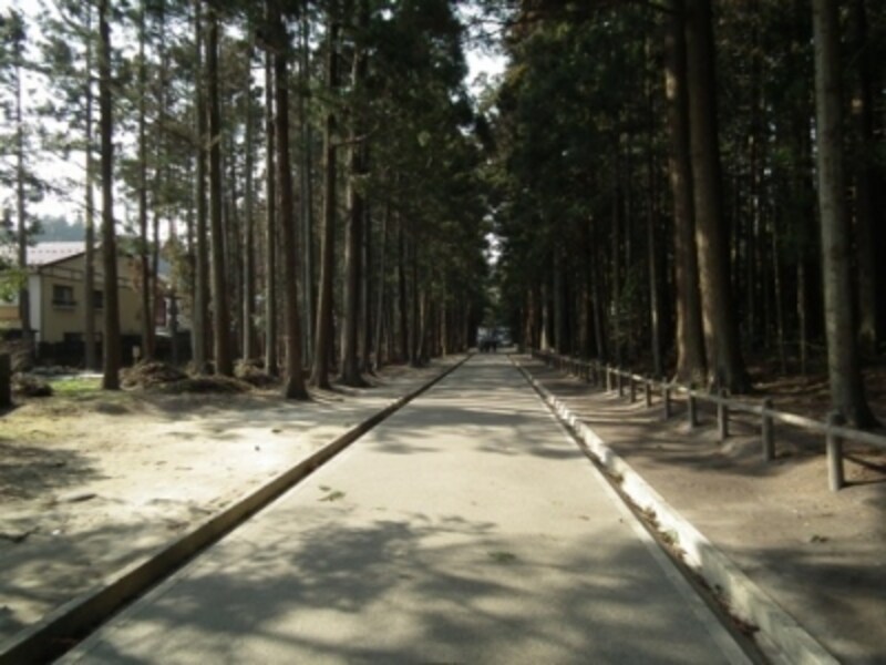 上野発 青春18切符で一泊二日の石巻旅 鉄道 All About