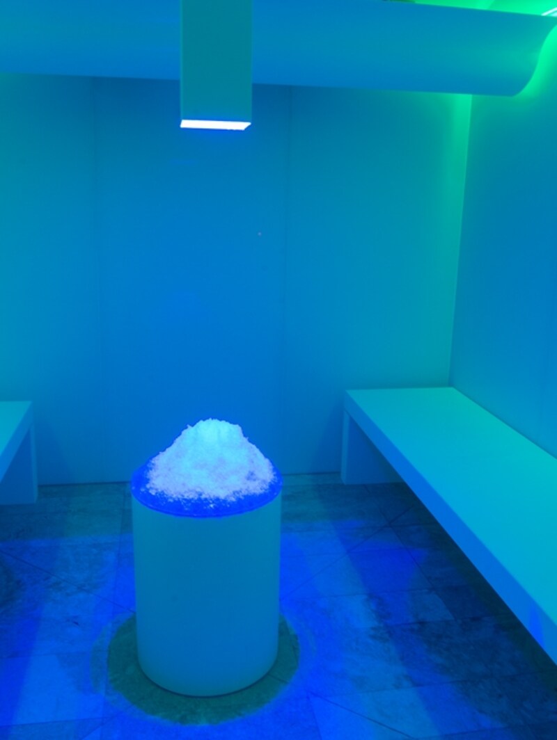 こちらが話題のアイスルーム