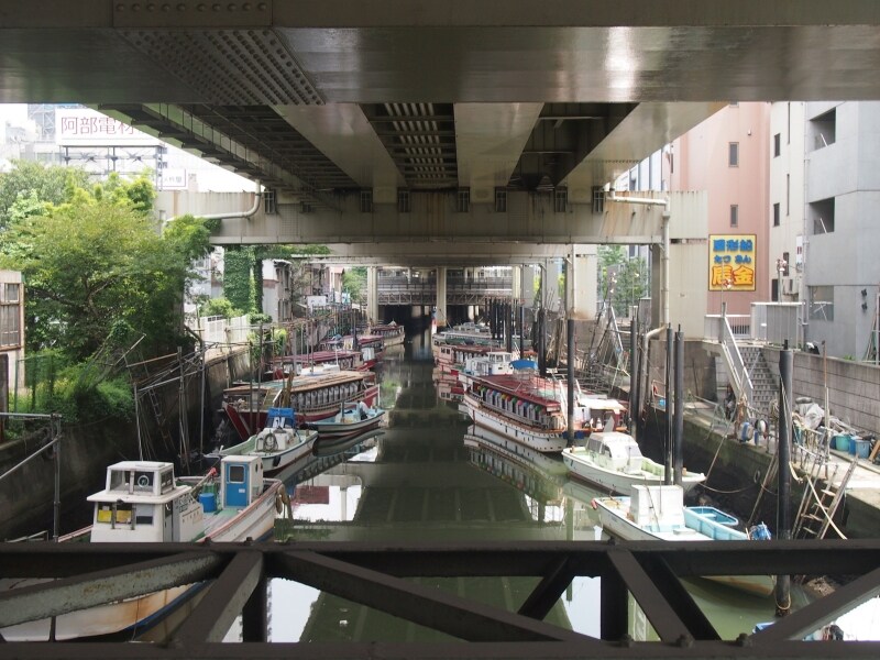 単なる橋というよりこのあたりのランドマークになっている。