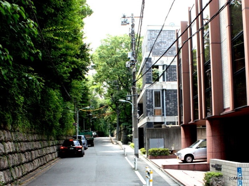 現地前から氷川神社方向を臨む