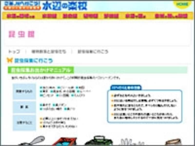 水辺の楽校 昆虫館