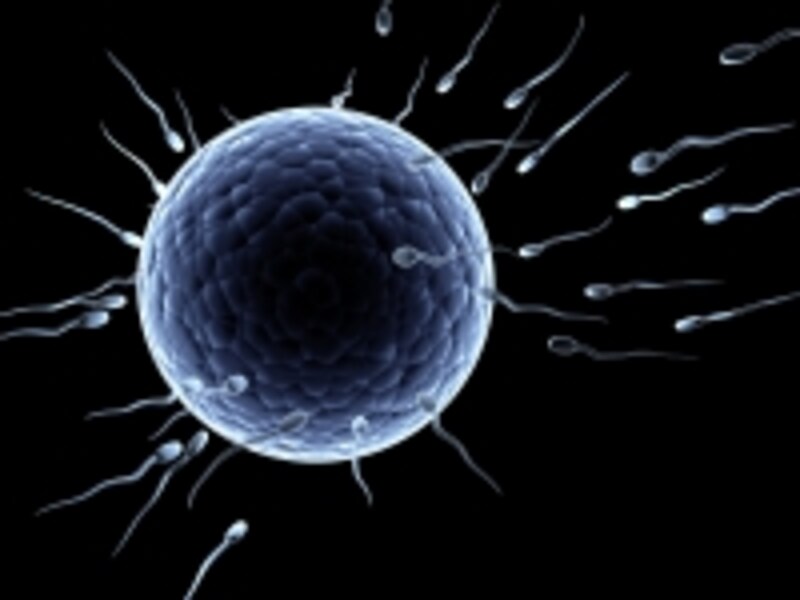 ivf1