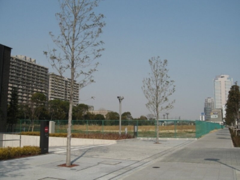 晴海タワーズ北側空地