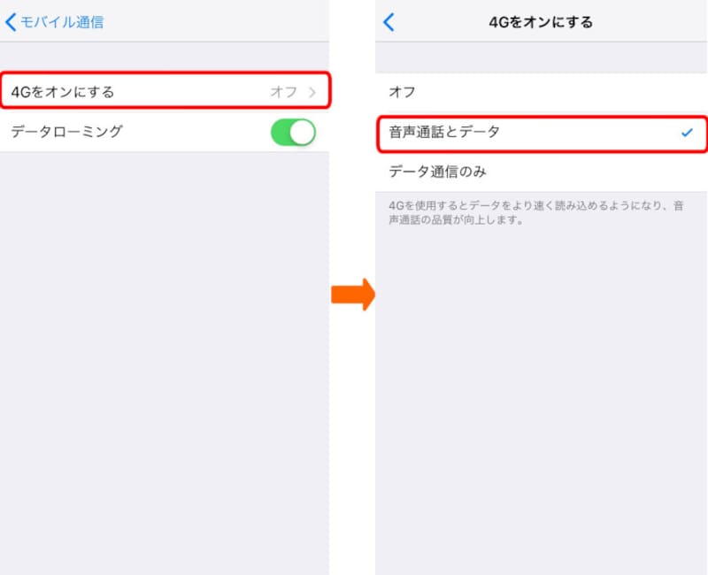 海外でiPhoneを使うときの設定画面