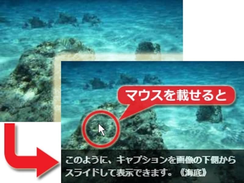 画像の上にマウスが載ると、キャプションがスライドして表示される