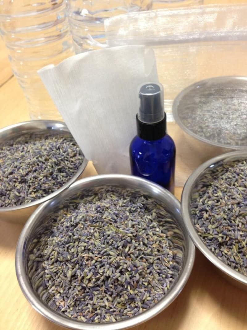 夏の疲れた肌をラベンダーが癒してくれます!