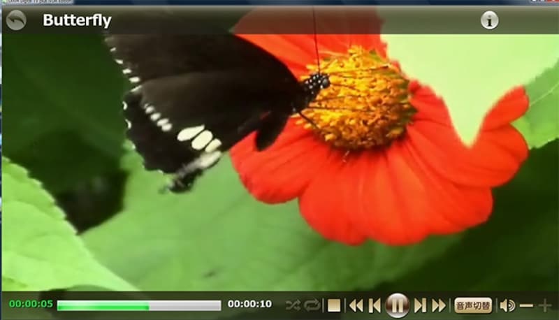 DiXiM Digital TV plus