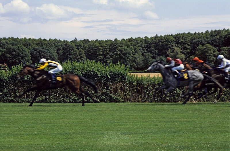 競馬新聞の数字の意味とは?