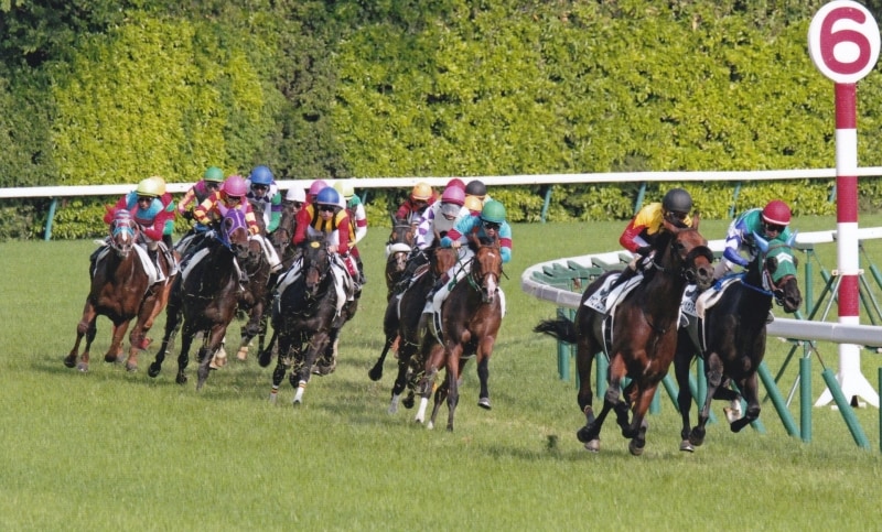 2013derby2
