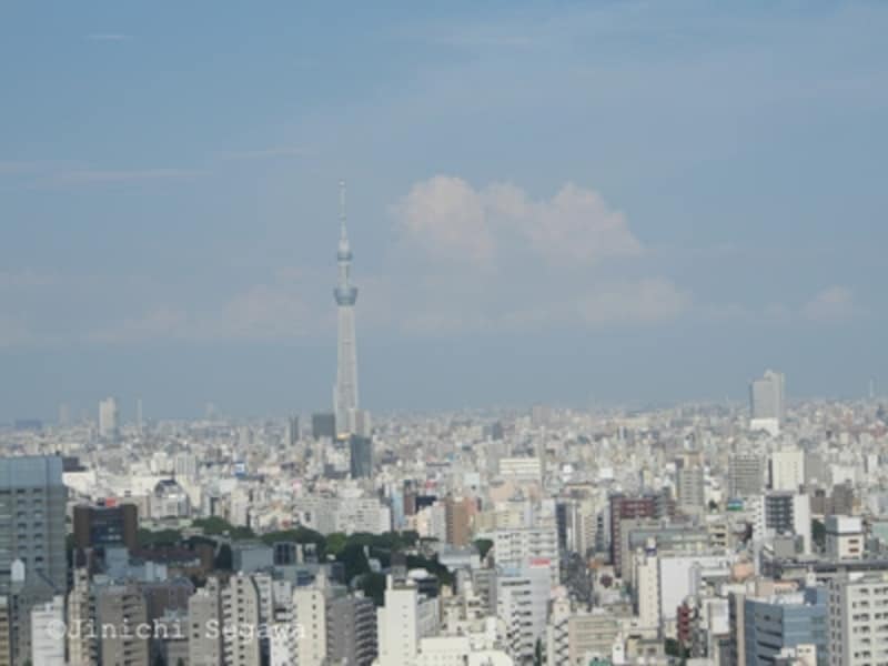 スカイツリー撮影地
