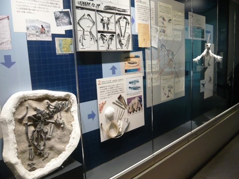 発見から復元までのプロセス