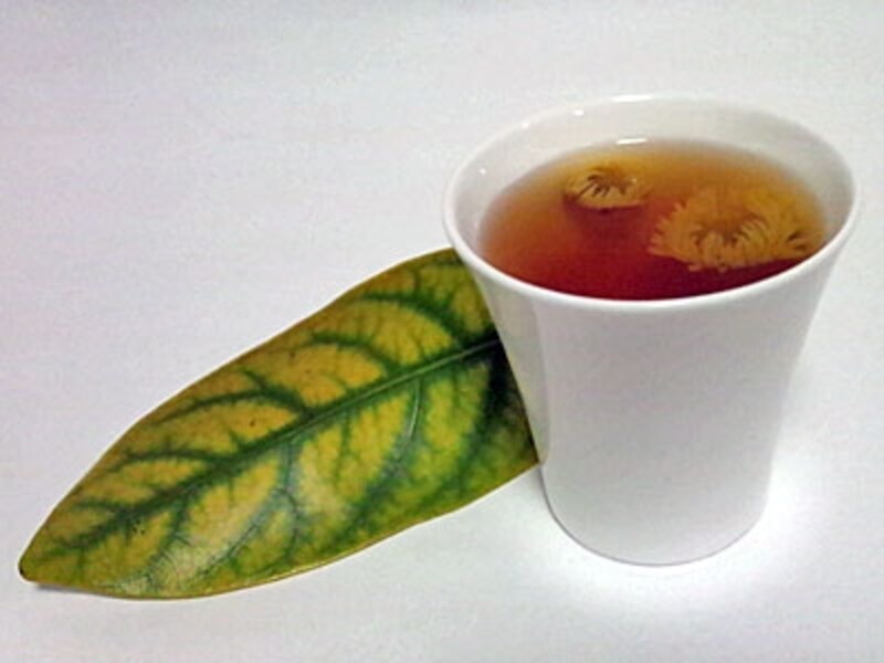 菊花プーアル茶