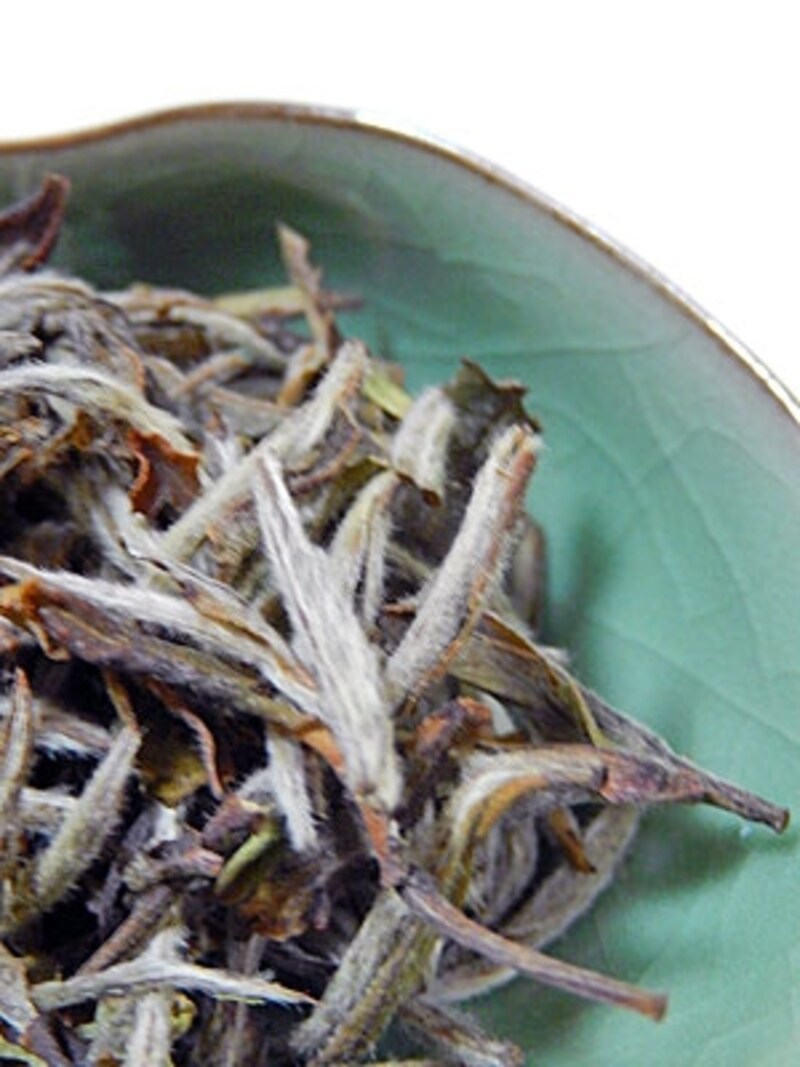 なでたくなるようなふわふわの産毛に覆われています