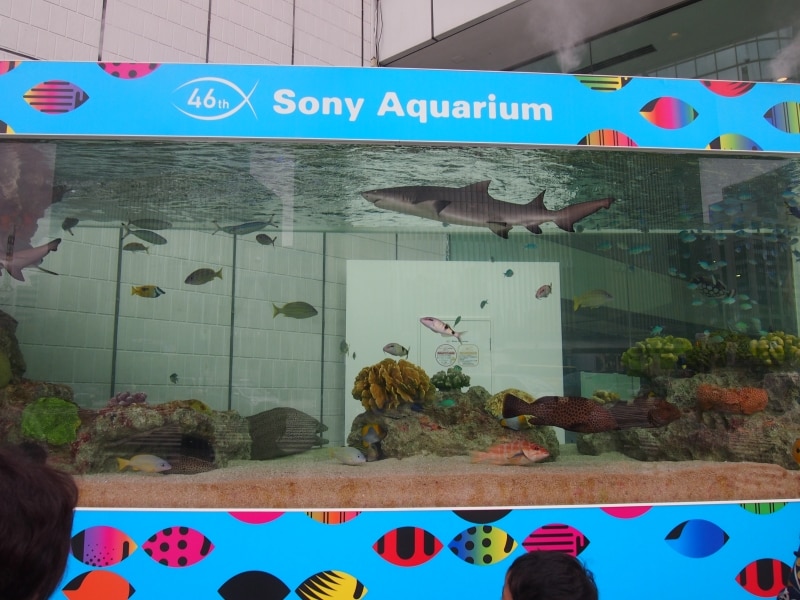 ちょっとした人だかりができている