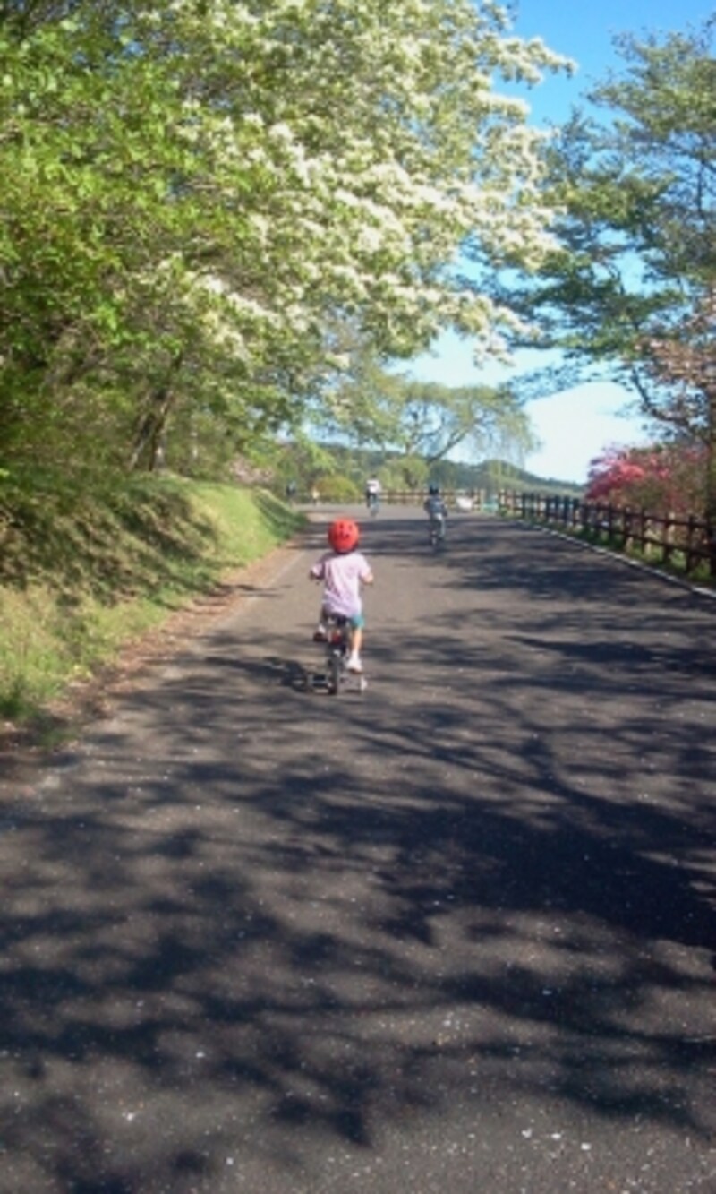 宇都宮市森林公園で自然に触れながらサイクリング 自転車 All About