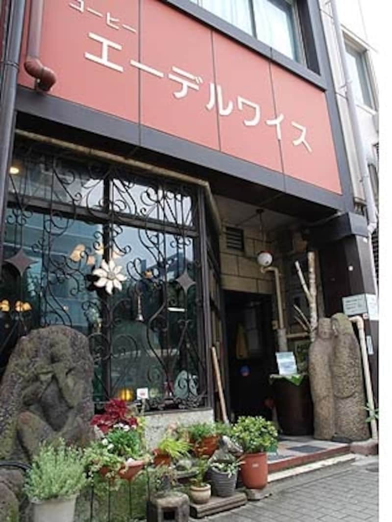 エーデルワイス