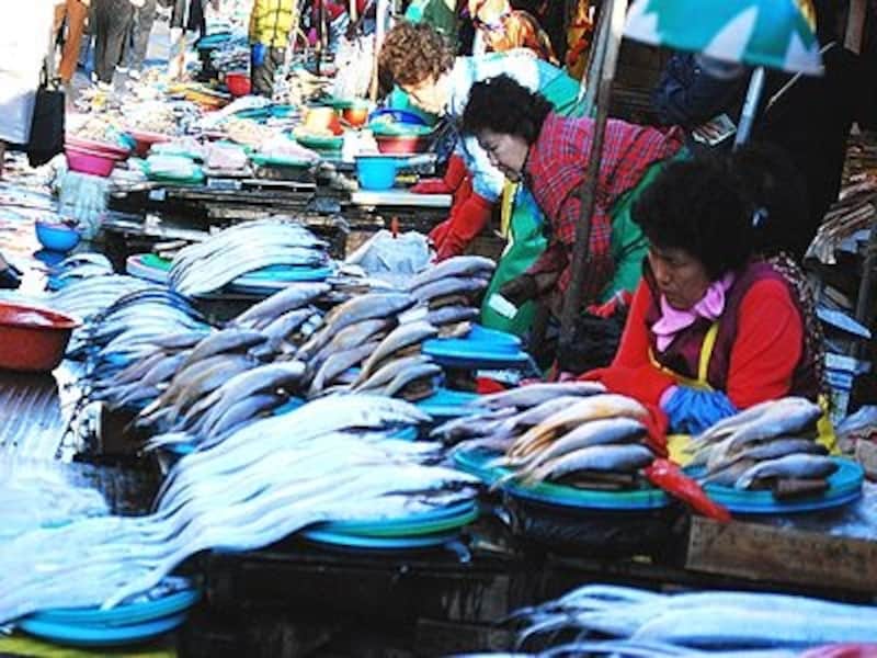 釜山に来たら絶対見に行ってほしい「ジャガルチ市場」。おばちゃんたちの威勢のいい声が飛び交っています