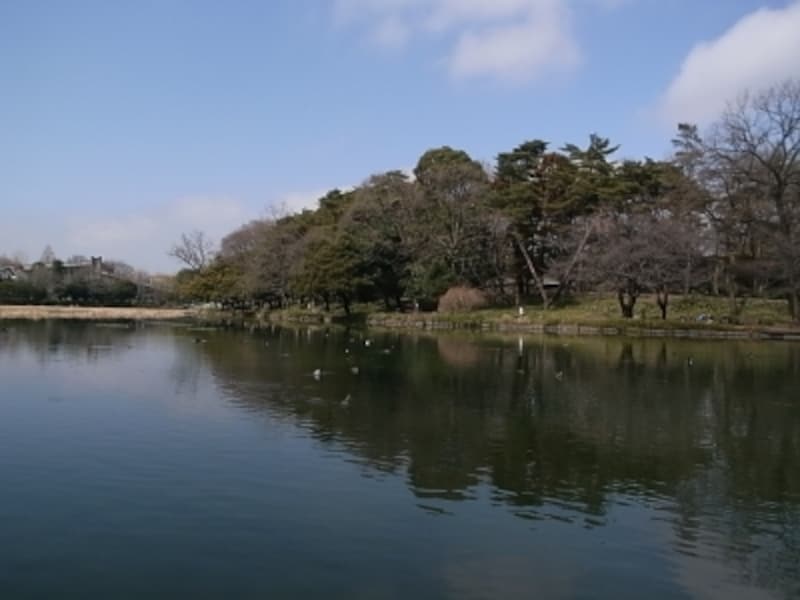 æ°·å·ç¥žç¤¾ã®è£æ‰‹ã«åºƒãŒã‚‹ç