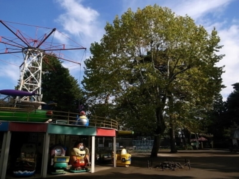 氷川神社の裏手に広がる由緒ある公園 大宮公園 子供と遊ぶ All About