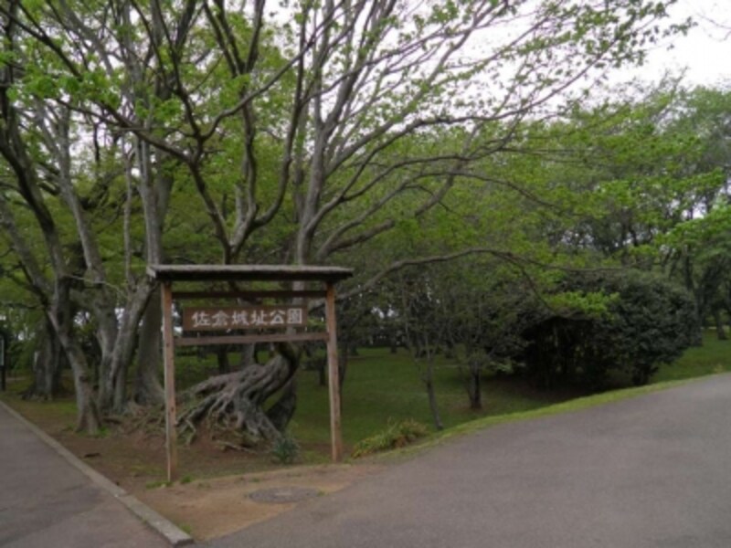 佐倉城址公園 で自然に触れ 歴史を感じる 子供と遊ぶ All About