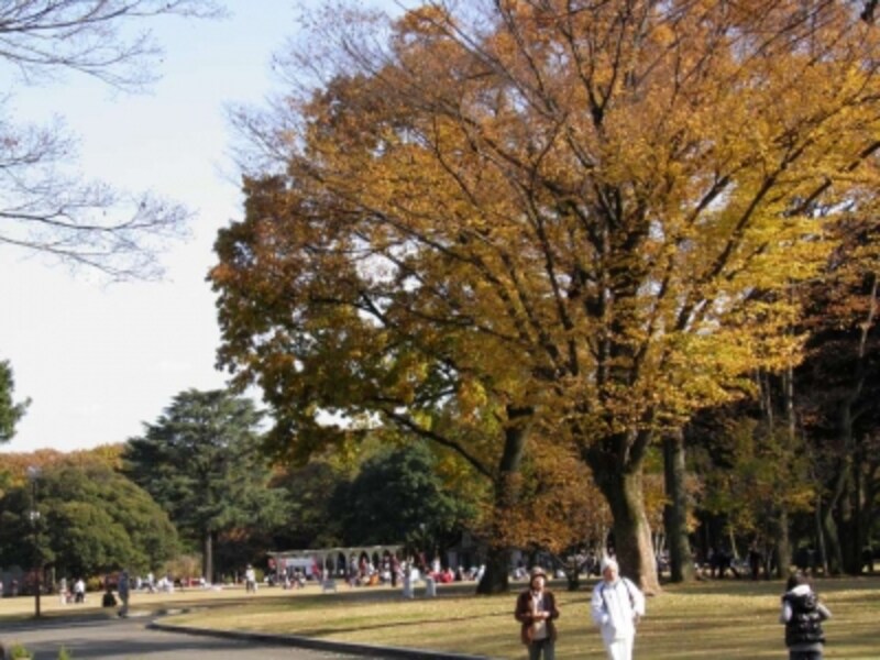 文化施設も揃った広大な自然公園 群馬の森 子供と遊ぶ All About