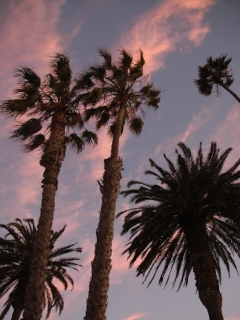 カリフォルニア アメリカ All About