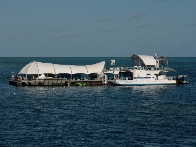 ノーマンリーフのポンツーン(浮桟橋)