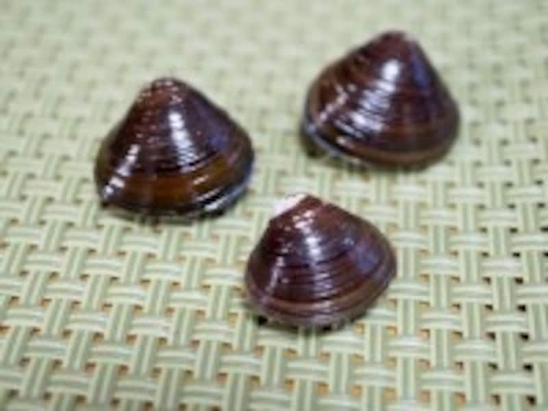 しじみ貝