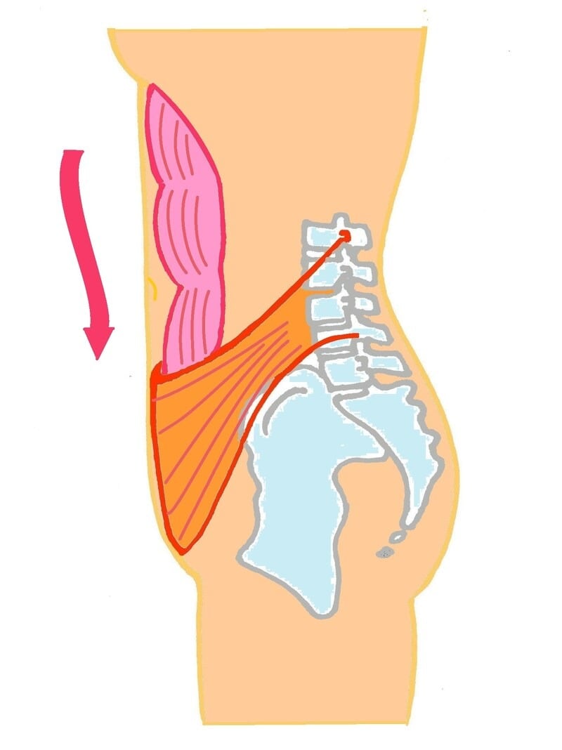 ポケットのように入り込みます