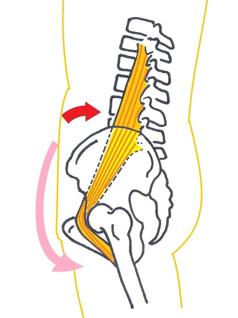 お腹を引き込み骨盤を後ろに倒すと…？
